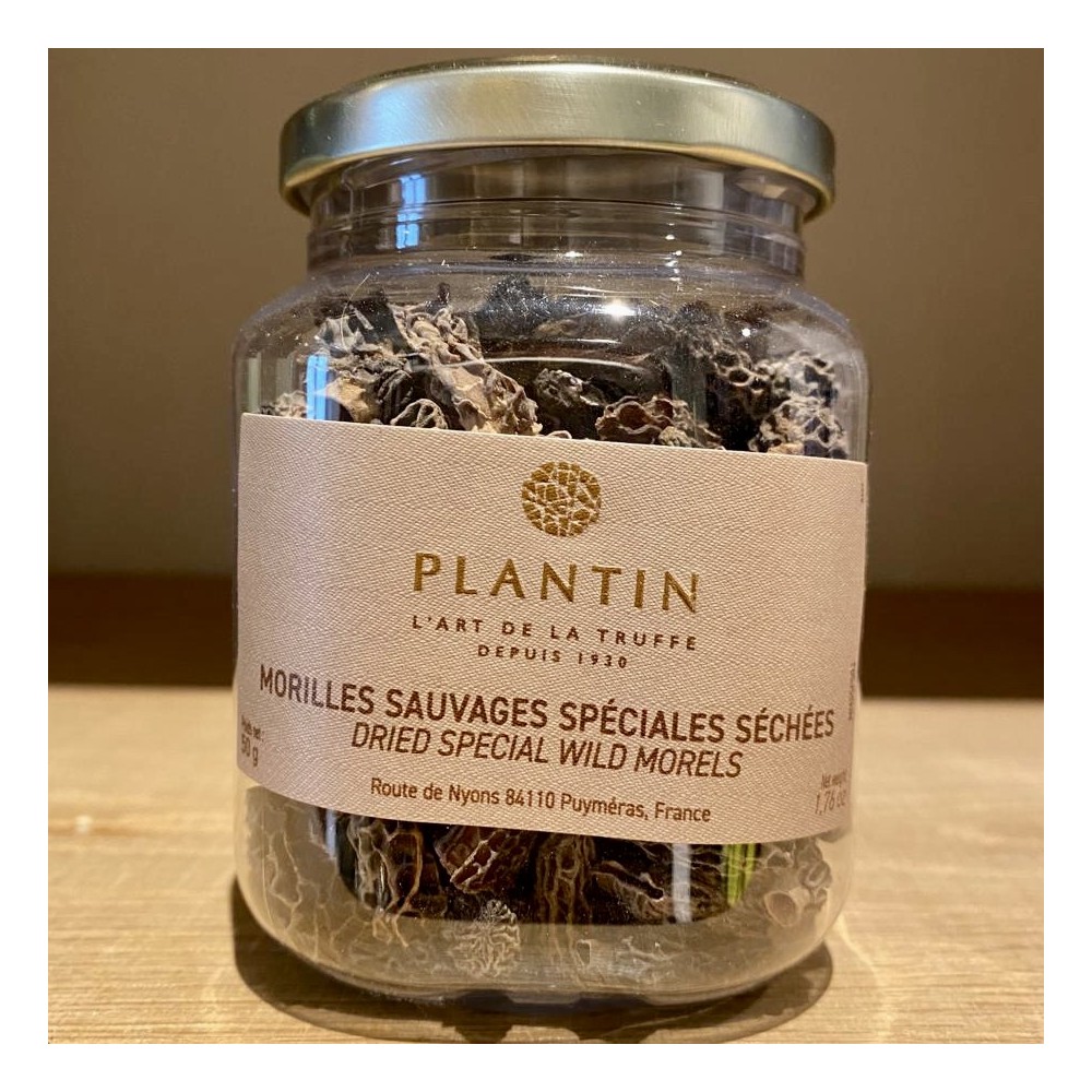 plantin-morilles-sauvages-sechees