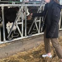 🚗📸🧀 Eva, en visite chez un producteur de Camembert ! 👋
.
.
.
.
.
.
#normandie #camembert #camembertdenormandie #producteurlocal #camembertcheese #roadtrip #frenchcheese