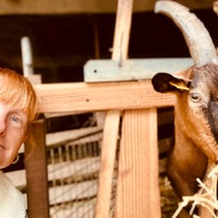 🙌 Et hop, on a récupéré les chèvres de Laurent ! Les fromages 🧀 , pas les chèvres au sens strict... 🐐 *trop encombrantes dans le magasin sinon. 😂🤍🐐
 

#fromagerie #islesurlasorgue #provence #circuitcourt